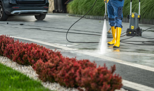 Best Roof Washing  in Lamar, CO